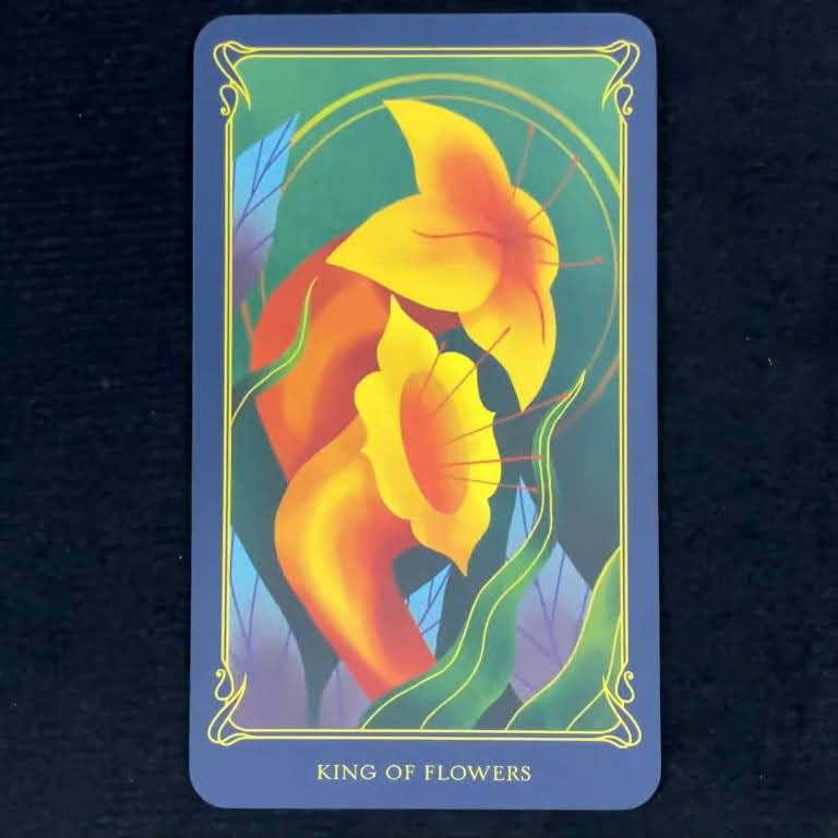 Alice in Wonderland Tarot